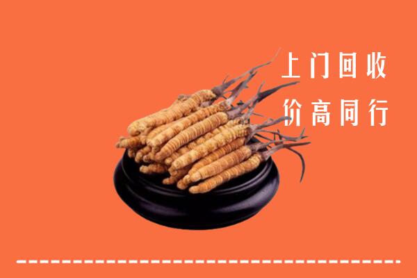 田家庵区高价冬虫夏草回收多少钱每克