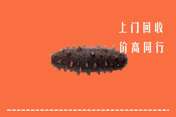 田家庵区高价回收海参
