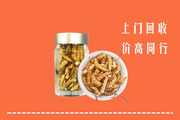 高价求购：田家庵区回收冬虫夏草